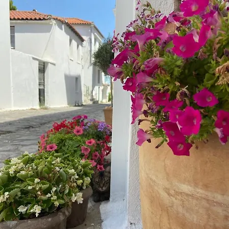 Raphael Living-venetia *