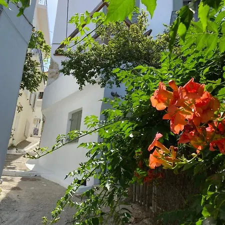 Dom wakacyjny Raphael Living-venetia *