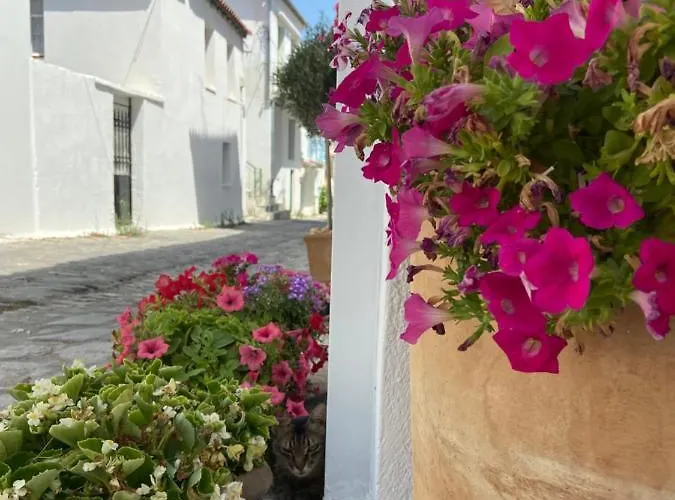 Raphael Living-venetia *