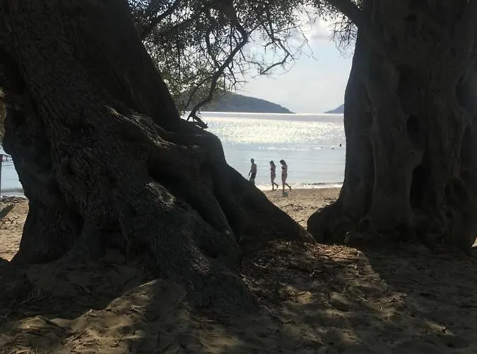 Raphael Living-venetia Holiday home